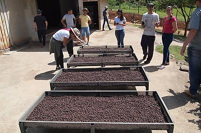 Sitio Vargem Anaerobic #7 