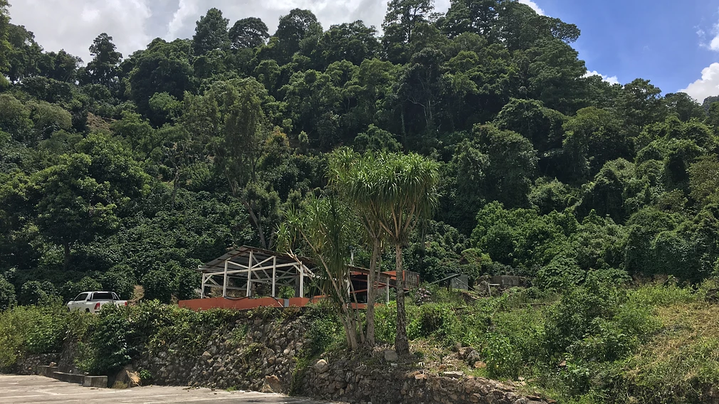 El Socorro Red Bourbon