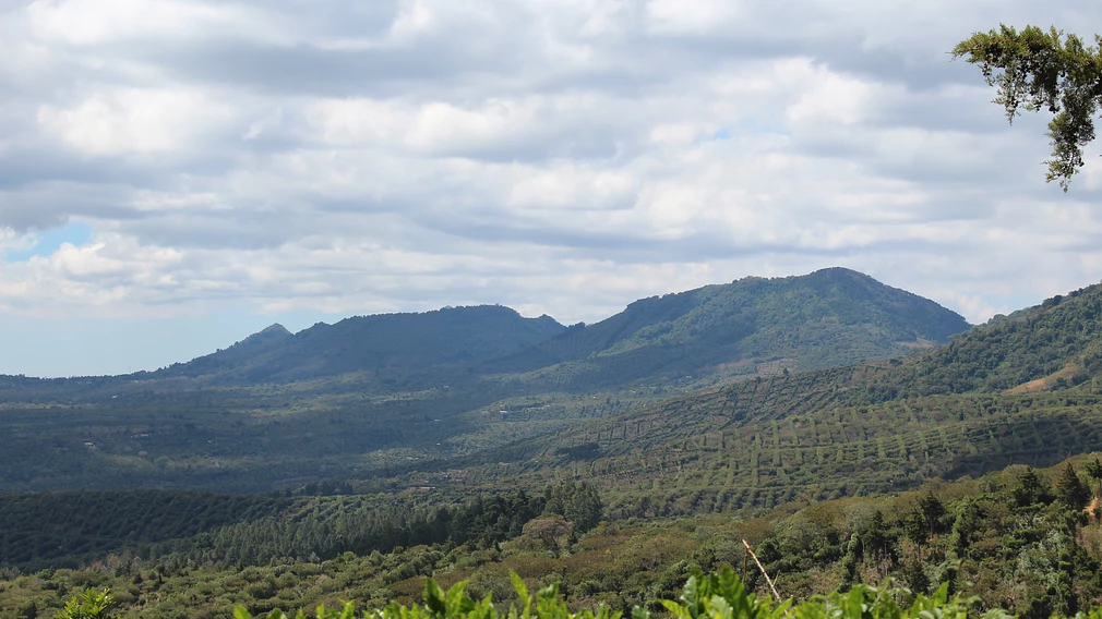 Classic: Lasso Geisha