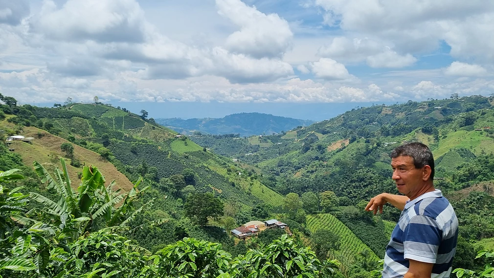 Classic: Pan de azúcar