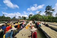 Banko Taratu image 4