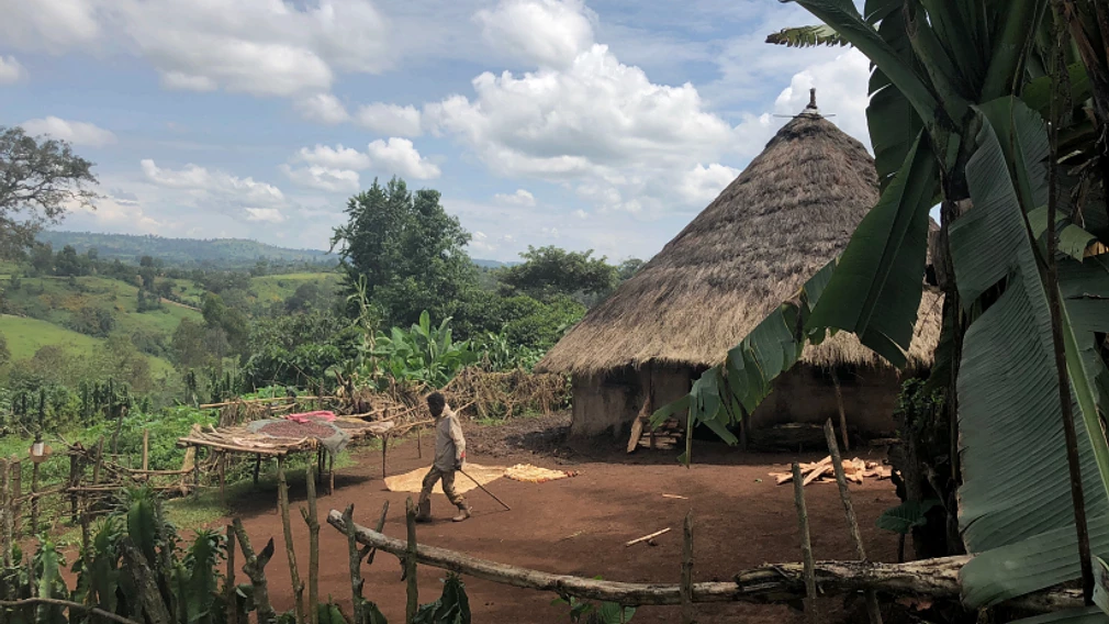 Chelbesa Natural '24