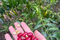 TS: El Diviso - Lot #1 image 3