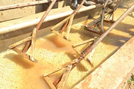 Banko Taratu image 6