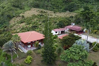 Natural Guamo image 5