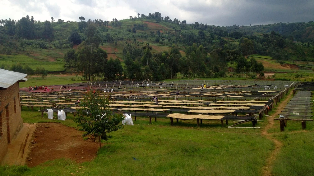 Buziraguhindwa Shade #2