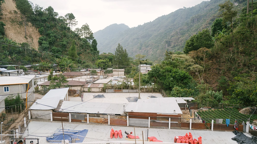 Classic: Hoja Blanca