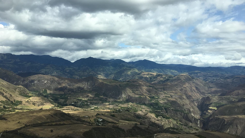 Classic: Fruta Madura