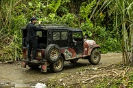 Natural Guamo image 3