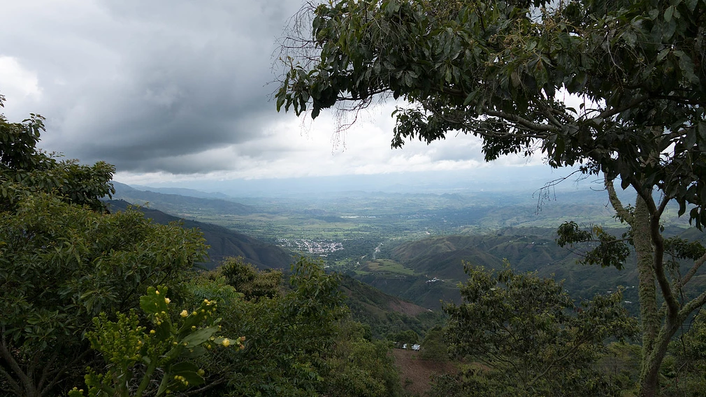 Tasting Series: San Martin Pink Bourbon