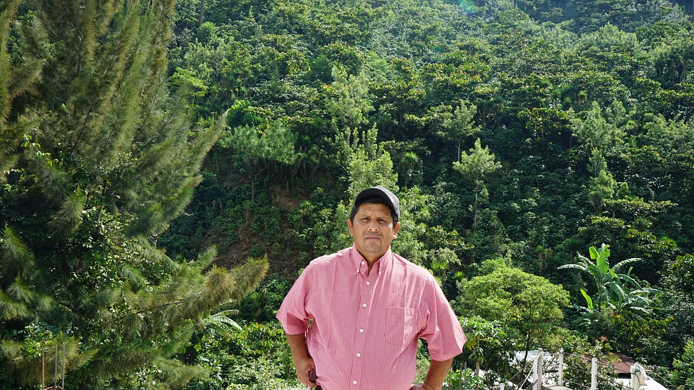 Tasting Series: El Diamante COE