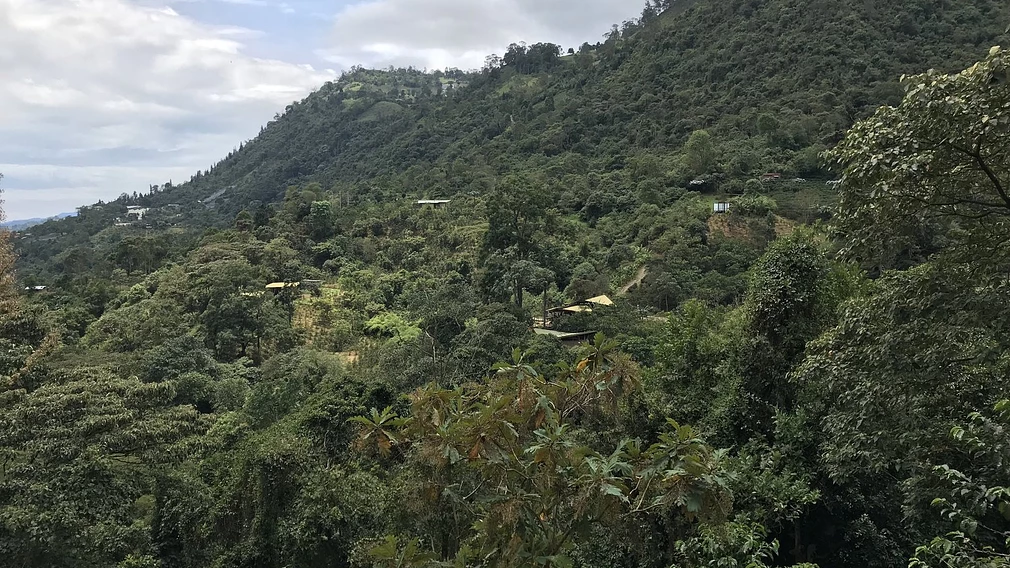 Tasting Series: Benavides Lot 2