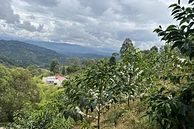 TS: El Diviso - Lot #1 image 1