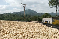 Banko Taratu image 8